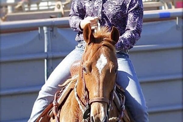 Woman riding a horse